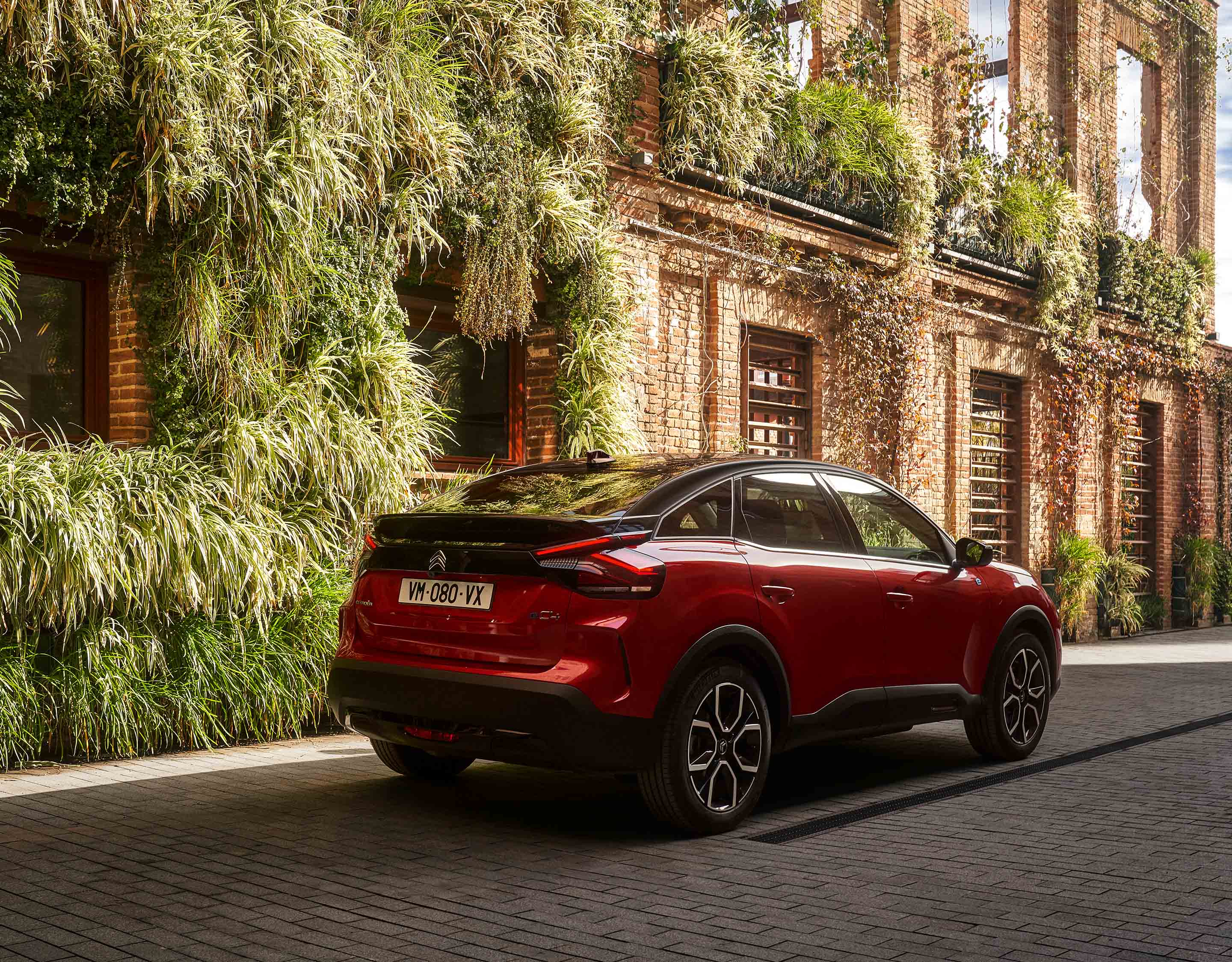 Citroen C4 ззаду